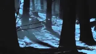 Литерал Mortal Kombat X