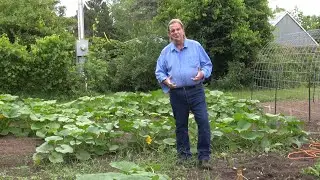 Victory Garden Update