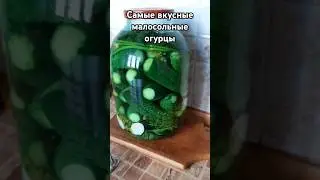 Рецепт хрустящих малосольных огурцов. Готовы уже на следующий день. #рецепт #рецепты #cooking