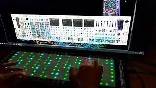 linnstrument improvisation 13