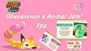 🌷Наконец-то обновление в Animal jam!🌷 Новинки!🦜💗