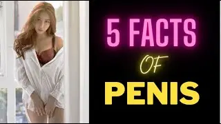 5 PENIS FACTS | Lifechangingtv