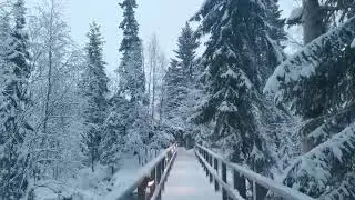 VID 20211218 125201 mp4