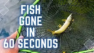 This is Why You Should ALWAYS Check Your Fishing Net!