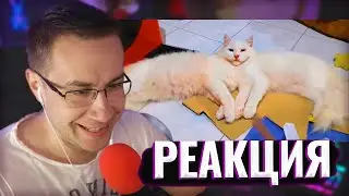 ЛИКС СМОТРИТ UNUSUAL MEMES COMPILATION