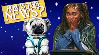 Launching Animals into Space