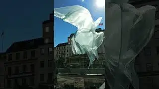 Ветер и солнце. Маленькое чудо