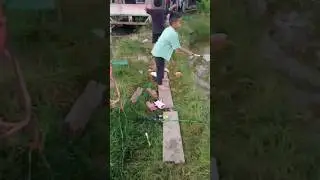 si bocil lagi mancing #shortvideo #narifchanel #subscribe #shorts #short