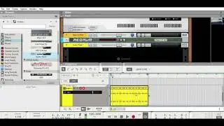 Creating REX files inside REASON