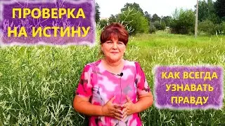 Как во всем проявлять истину? Как всегда можно узнать правду?