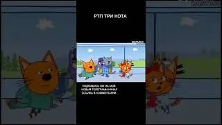 РТП ТРИ КОТА. RYTP ТРИ КОТА. 