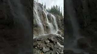 Tangle Creek Falls - Jasper National Park Alberta, Canada #Shorts #YTShorts