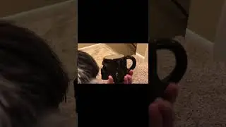 Defeated by a licksaber 