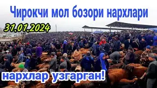 Чирокчи мол бозори нархлари 31.01.2024 й