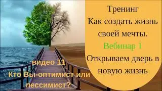 11 видео Кто Вы - оптимист или пессимист?  1 вебинар Тренинг Как создать жизнь своей мечты