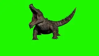 green screen crocodile 2