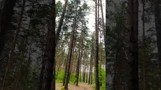 31 мая 2023 г.
