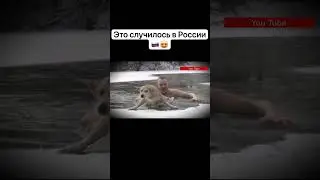 Мужчина спас собаку из ледянной воды