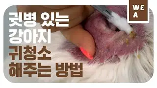보는 제가 다 시원해지네요... [위아 19화]