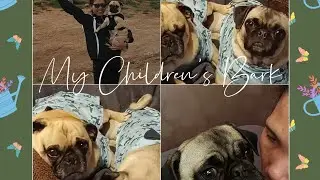 Who has kids that Bark😂😂😂🙋