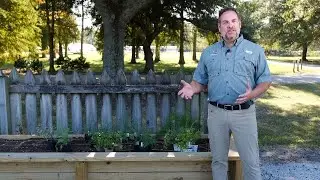Get It Growing: ‘Tis the time to grow herbs for the holidays