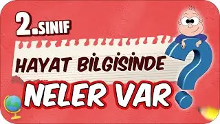 2. Sınıf Hayat Bilgisinde Neler Var? Hayat Bilgisi Dersine Nasıl Çalışır❓