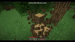 Minecraft:Выживание