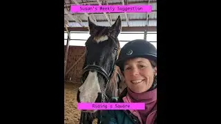 Quarter Turn on The Forehand  - Riding a Square #dressagetraining