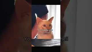highly memes from the web pt.31 