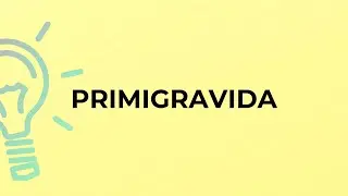 What is the meaning of the word PRIMIGRAVIDA?