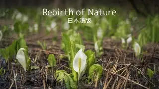 Rebirth of Nature