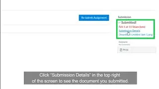Check Your Canvas Submissions