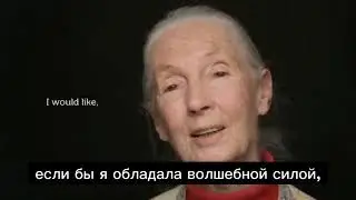 Как мило…