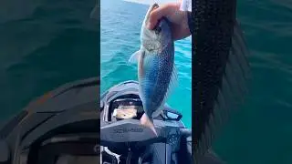 Pêcher en jetski ? 