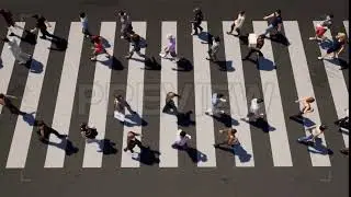 People Walking Over Crosswalk | Stock Motion Graphics - Motion Array