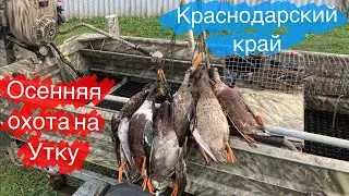 ОХОТА на УТКУ в НОЯБРЕ 2022 🦆🦆🦆 