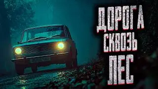 ЗРЯ МЫ СВЕРНУЛИ НА ЭТУ ДОРОГУ! Страшные истории на ночь. Мистика. Страшилки на ночь.