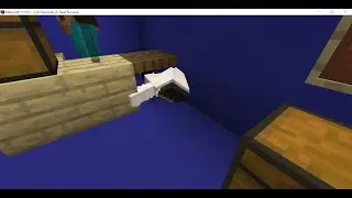 Minecraft Sunucu Tanıtımı