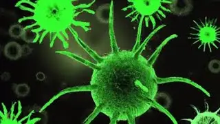 How do we beat bacteria?