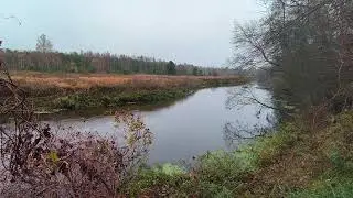 Река Уводь. ч.2. Октябрь 2024