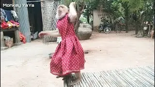 YaYa Releases Traditional Dancing Look Beautiful