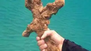 Дайвер обнаружил на дне моря древние артефакты.