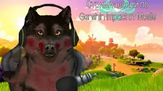 Стримчанский по Genshin Impact. Занимаемся фигней (присутствует задержка)