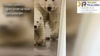 Рольставни с фотопечатью,  рисунком...