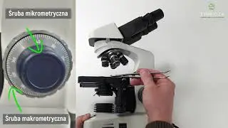 E-lekcja: rozpocznij swoją przygodę z mikroskopem optycznym