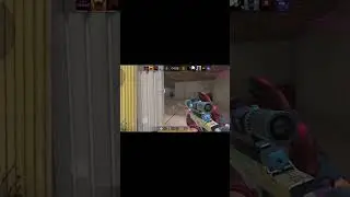 Ты чего!! Я не крыса😂😂😂#standoff #подпишись