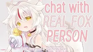 【chatting】100% GUARANTEED ENCOUNTER WITH FOX-- MUST SEE! (REAL) (NOT FAKE) 【kamiko kana/tsunderia】