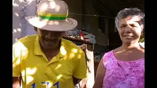 UM PÉ DE QUE? - GOIABEIRA