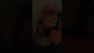 beautiful flowers