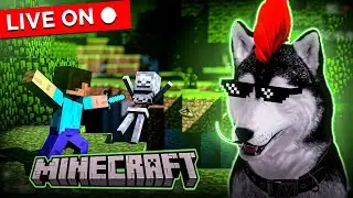 Minecraft deu ruim, agora vamos jogar tíbia HAHAHA!